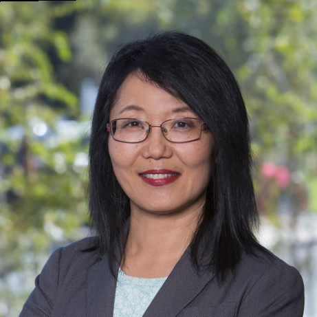 Anne Wang headshot